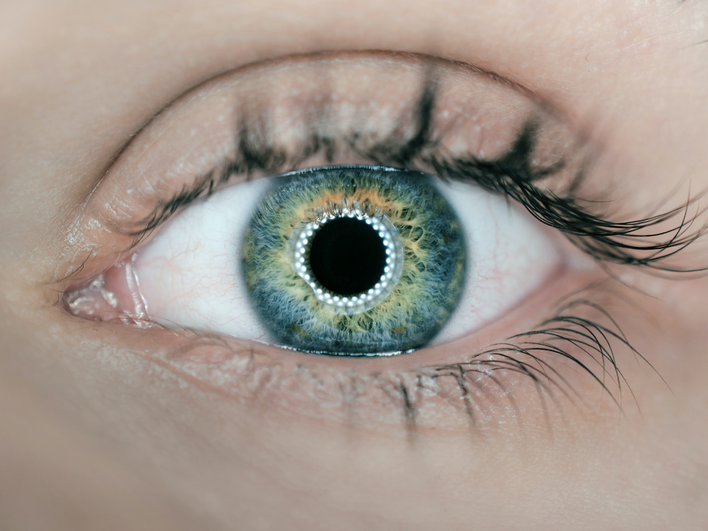Auge mit AR-Kontaktlinse