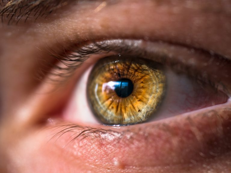 Augengesundheit: Risikofaktor Augenfarbe