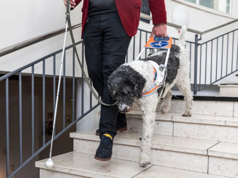 Pro Retina: Mensch und Blindenführhund den Alltag erleichtern