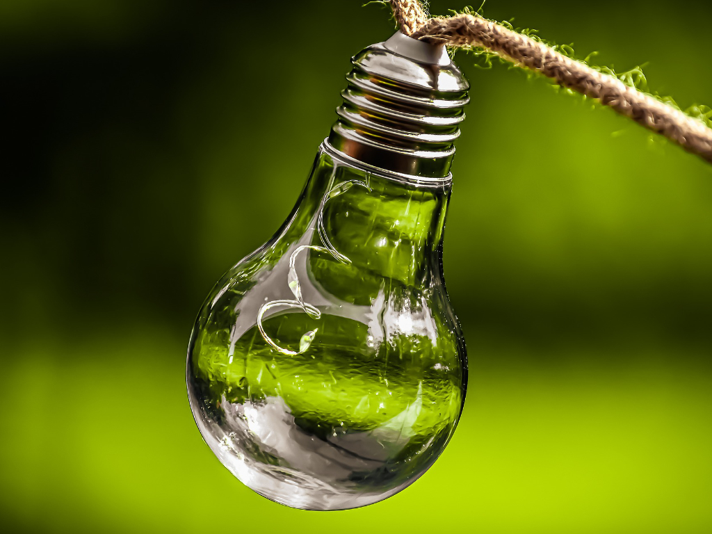 Grüne Glühbirne als Zeichen für Nachhaltigkeit