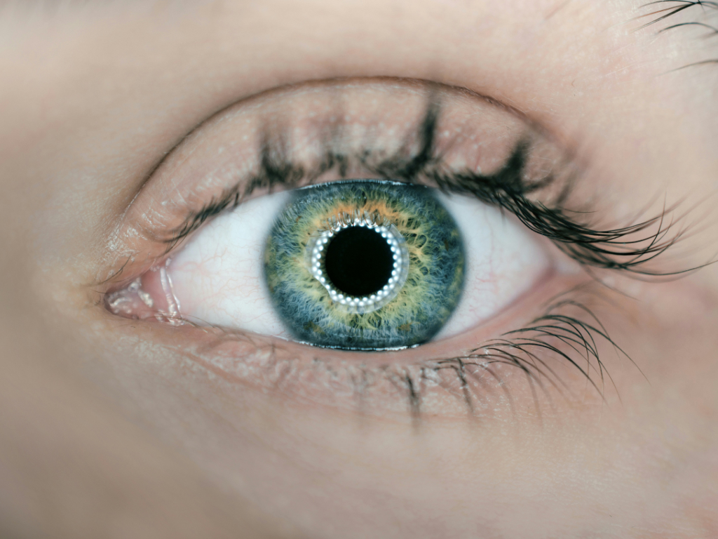 Menschliches Auge in Nahaufnahme mit blauem Kranz um Linse