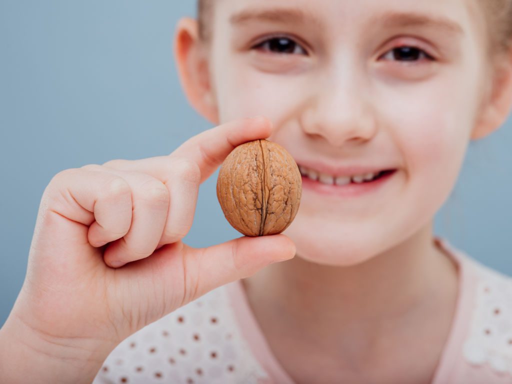 Mädchen hält Walnuss in die Kamera