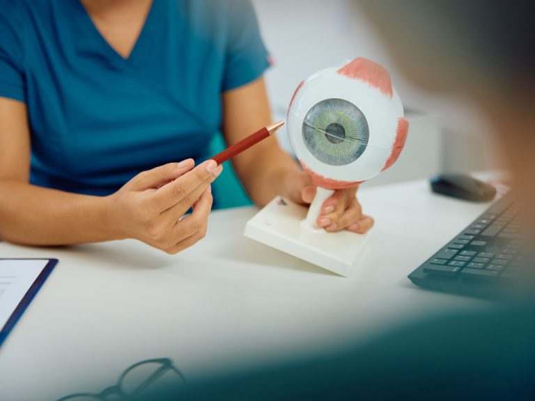 Nahaufnahme eines Optometristen bei der Verwendung eines anatomischen Augen-Modells